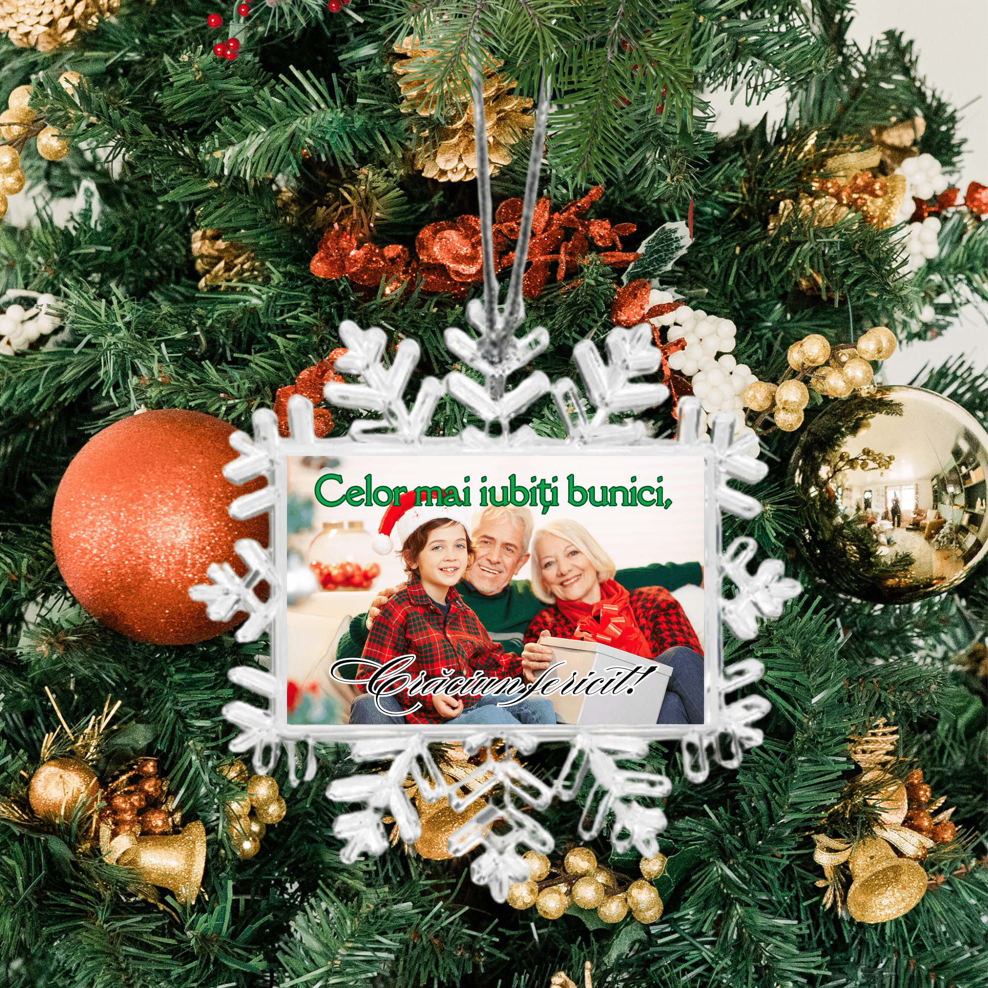 Glob fulg de nea dreptunghi personalizat cu poză pentru bunici