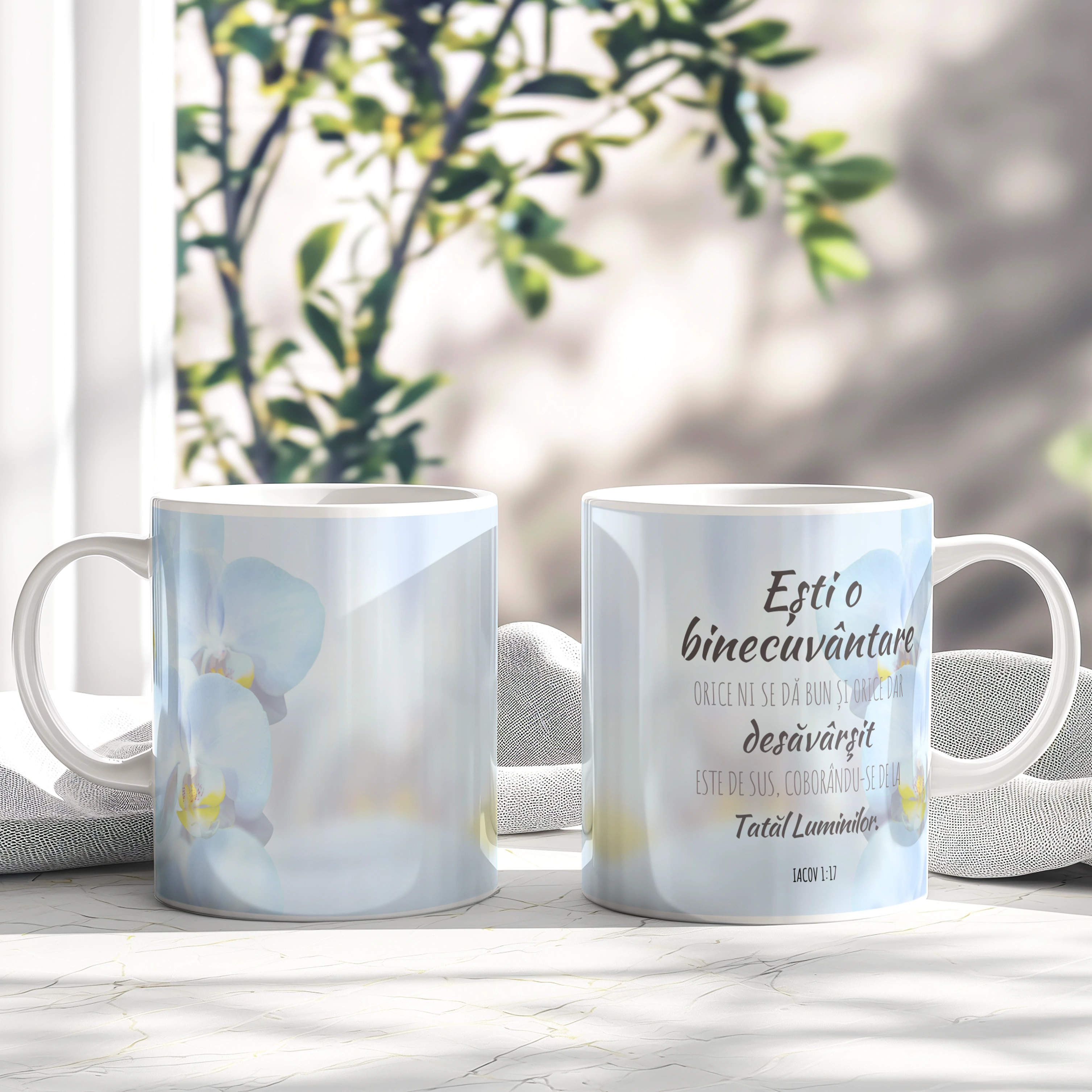 Cana cadou crestin, verset biblic - Iacov 1:17