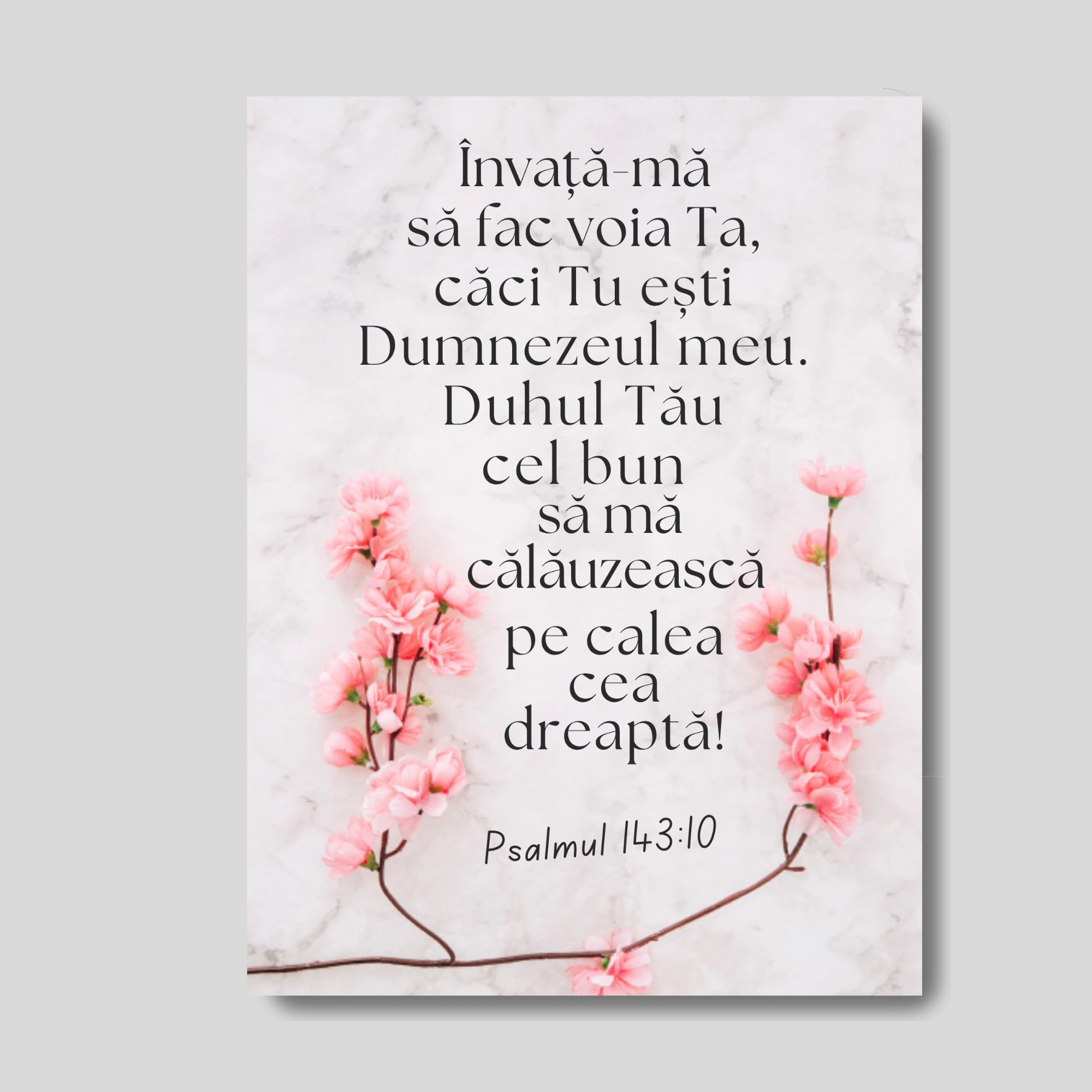 Tablou canvas, verset din Biblie - Psalmul 143:10