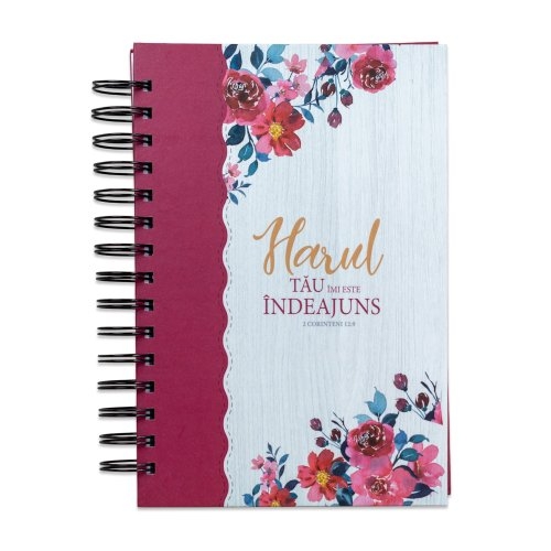 Jurnal crestin cu versete biblice - Harul Tau imi este indeajuns