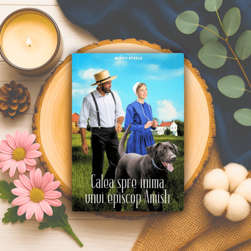 Calea spre inima unui episcop Amish - roman creștin