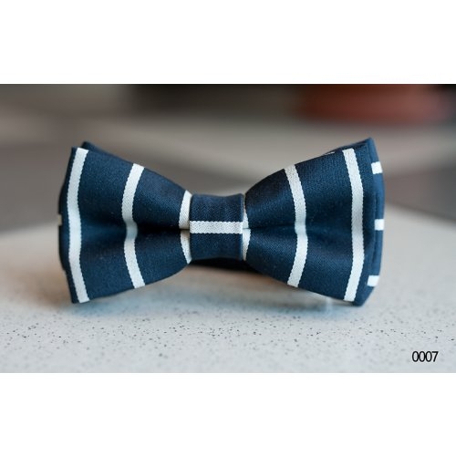 Papion negru cu dungi ivoire